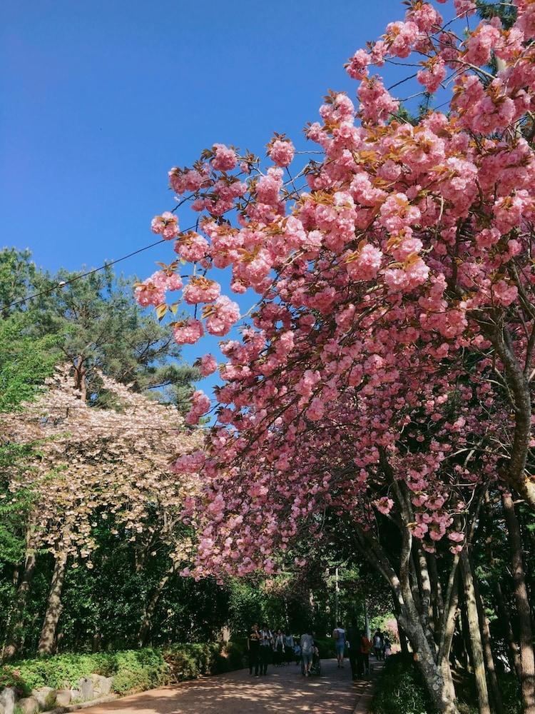 โรงแรมเอเชีย เลกไซด์ จินจู ภายนอก รูปภาพ